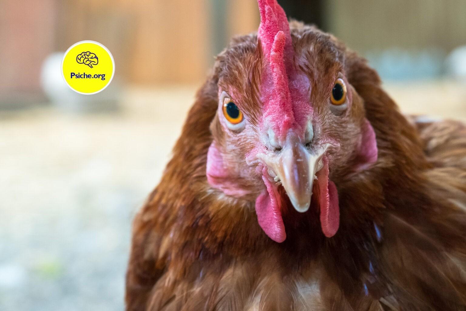 La psicologia delle persone sempre pronte a criticare gli altri